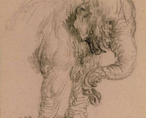 project rembrandt, olifant van rembrandt